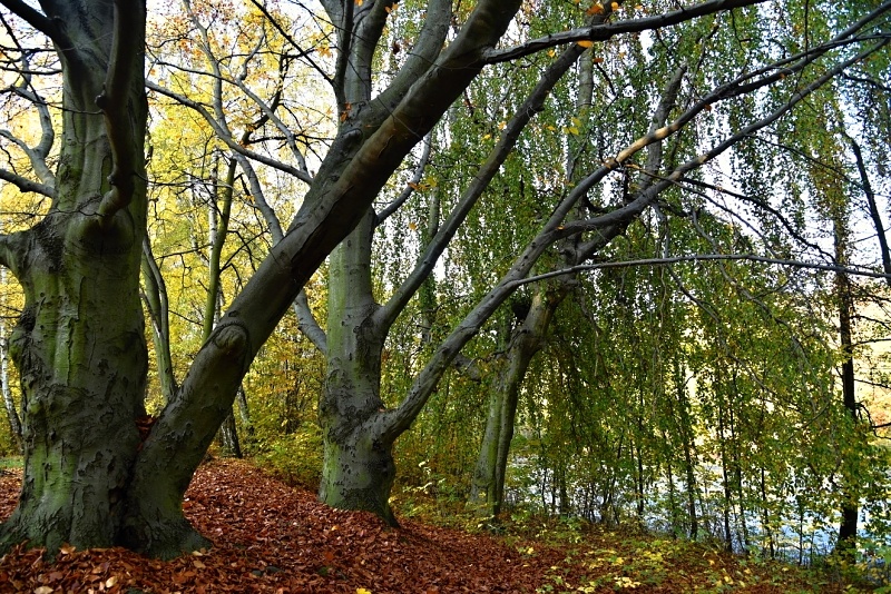 Červený Hrádek